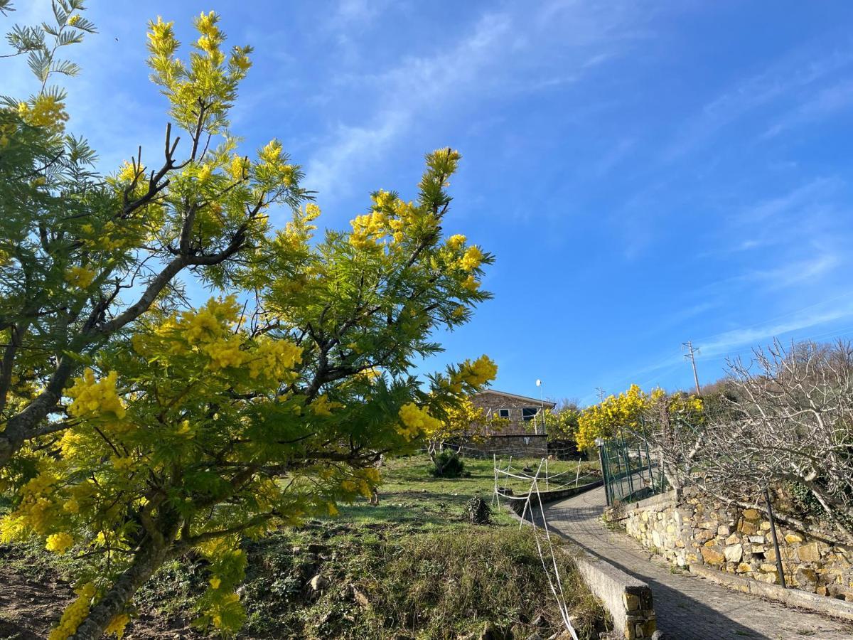 Agriturismo Le Mimose Imperia Exterior foto